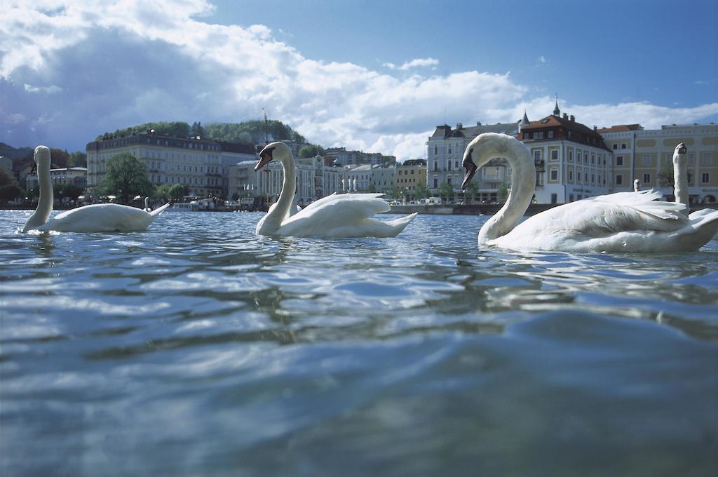 Landhotel Grünberg am See Gmunden Exterior foto